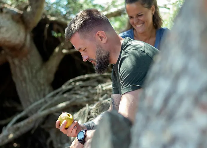 CASA+Mini Studio en Macaret